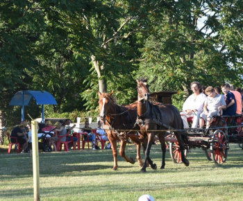 Memorial Ing. Rimka - VII. ročník rok 2019
