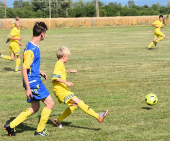 Memorial Ing. Rimka - VII. ročník rok 2019