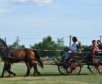 Memorial Ing. Rimka - VII. ročník rok 2019