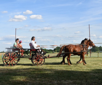 Memorial Ing. Rimka - VII. ročník rok 2019