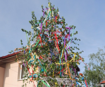 Stavanie mája 2015
