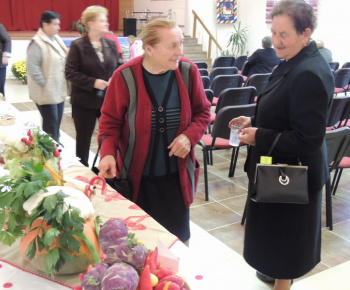 Úcta k starším 2014