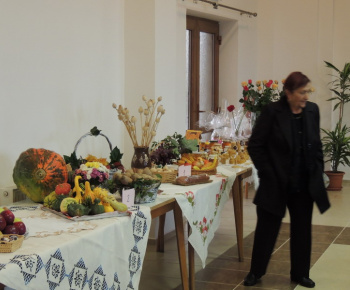 Úcta k starším 2014