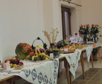 Úcta k starším 2014