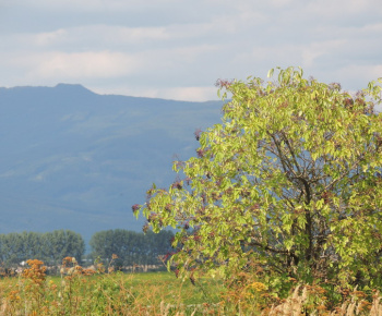 Cyklotúra 2013