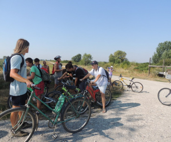 Cyklotúra 2013