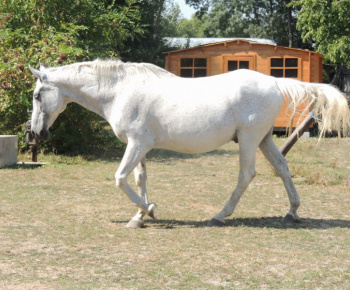 Cyklotúra 2013