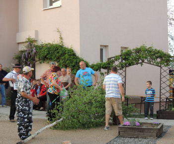 Stavanie mája 2013