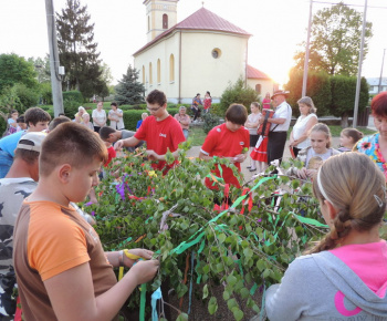 Stavanie mája 2013