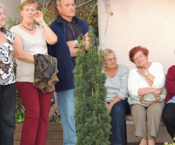 Stavanie mája 2013