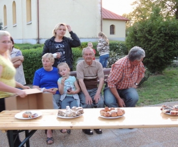 Stavanie mája 2013