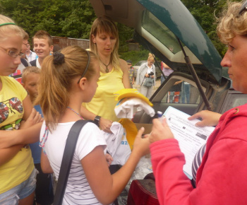 Danube day 2012