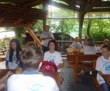 Danube day 2012