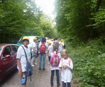 Danube day 2012