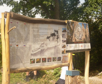 Danube day 2012