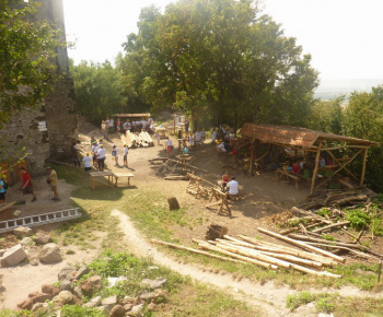 Danube day 2012