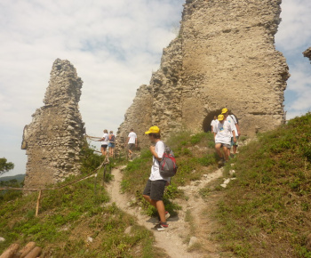 Danube day 2012