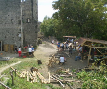Danube day 2012