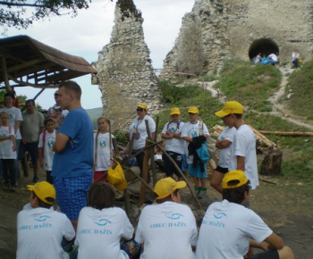Danube day 2012
