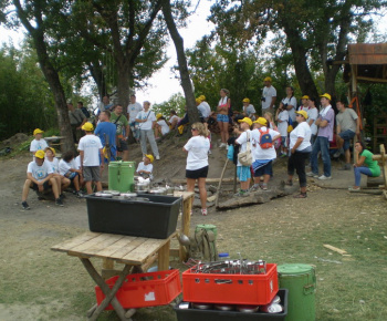 Danube day 2012