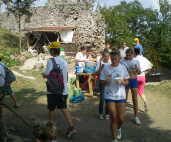 Danube day 2012