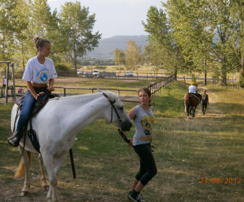 Danube day 2012