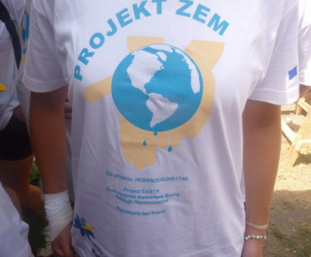 Danube day 2012