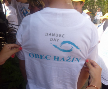 Danube day 2012
