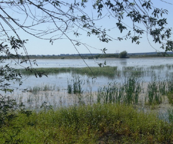 Cyklotúra - Senianske rybníky