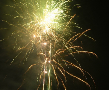 Štastný nový rok 2009