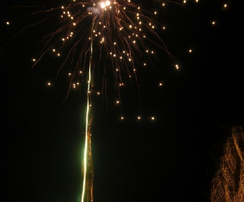 Štastný nový rok 2009