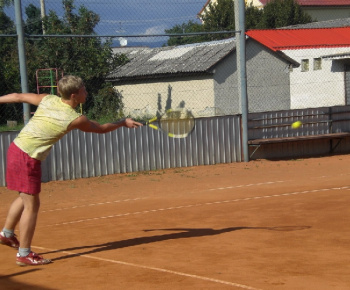 Tenis cup 2