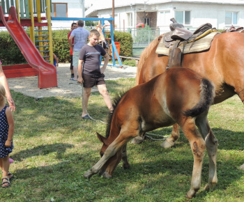 Prázdninové popoludnie 2014