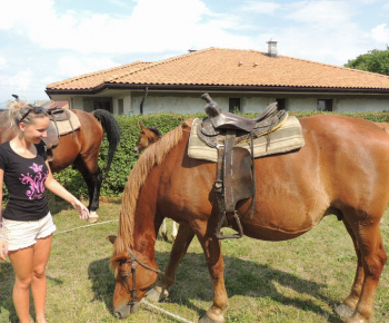 Prázdninové popoludnie 2014