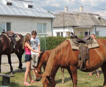 Prázdninové popoludnie 2014