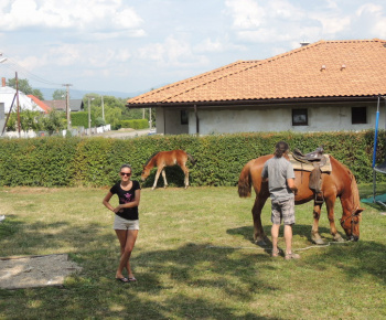 Prázdninové popoludnie 2014
