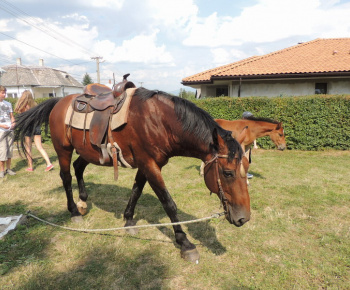 Prázdninové popoludnie 2014