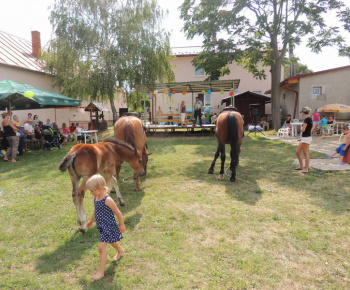 Prázdninové popoludnie 2014