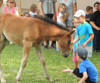 Prázdninové popoludnie 2014