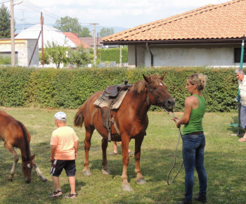 Prázdninové popoludnie 2014
