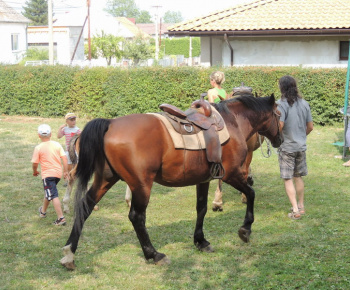 Prázdninové popoludnie 2014