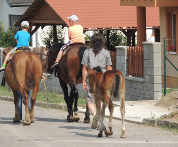 Prázdninové popoludnie 2014