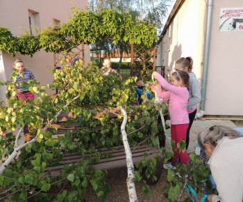 Máj 2014