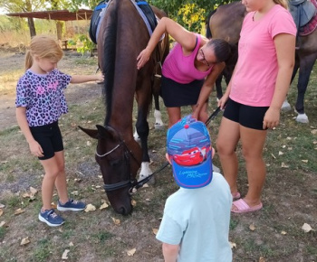 Rozlúčka s letom 2024