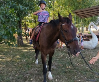 Rozlúčka s letom 2024