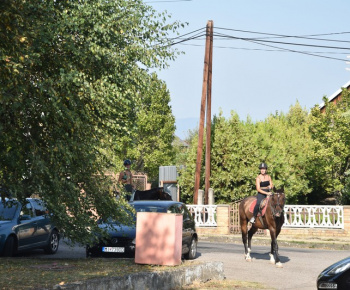 Rozlúčka s letom 2024