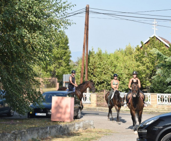Rozlúčka s letom 2024