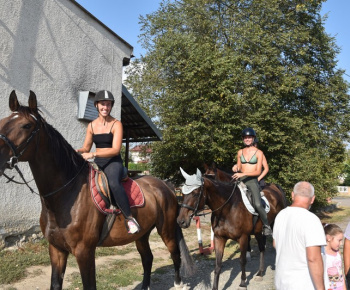 Rozlúčka s letom 2024