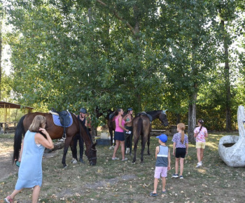 Rozlúčka s letom 2024