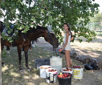 Rozlúčka s letom 2024